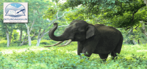 travel-blog-by-shaunli-dey