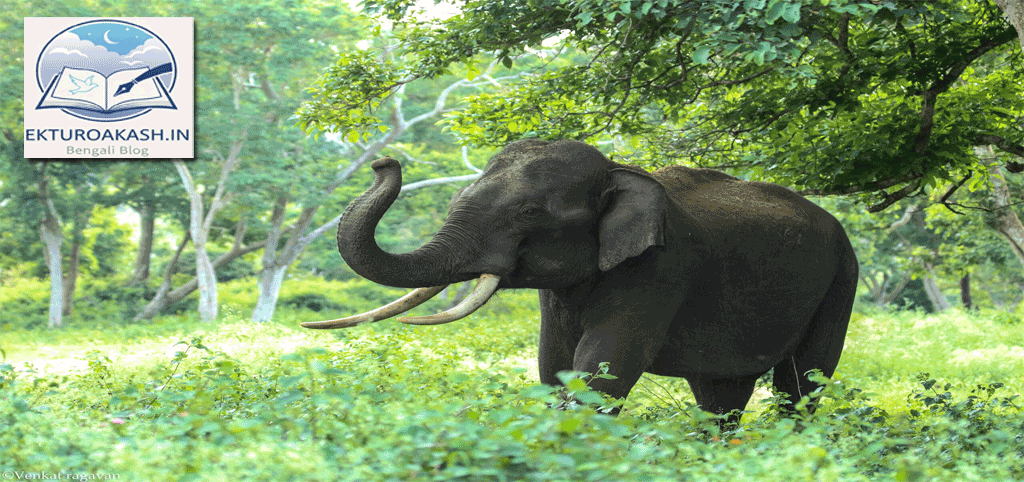 travel-blog-by-shaunli-dey